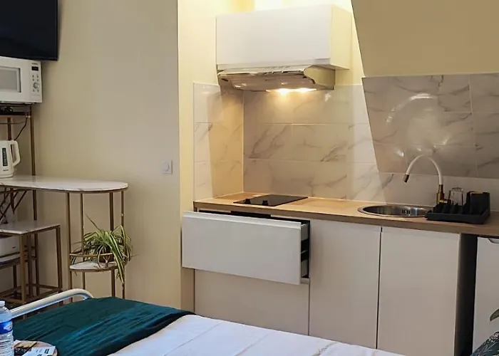 Le Cocoon Dore 公寓 普瓦捷