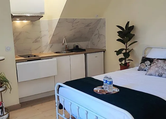 Le Cocoon Doré Appartement Poitiers