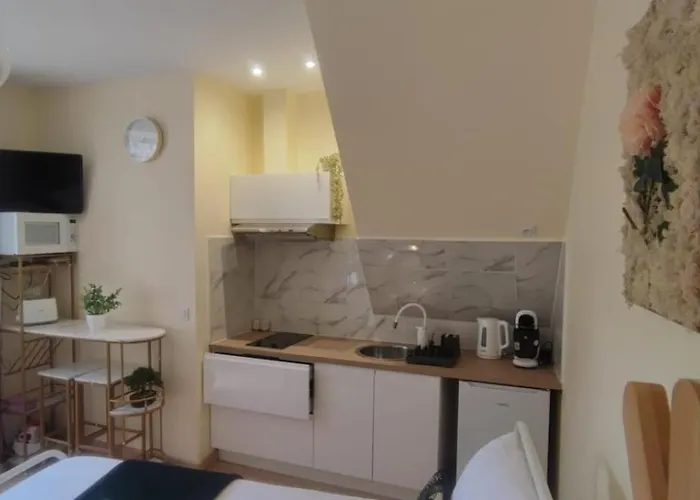 Le Cocoon Dore 普瓦捷