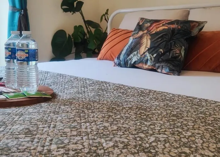 Le Cocoon Doré Appartement Poitiers