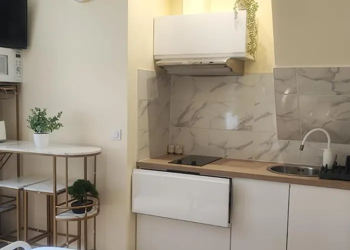 Appartement Le Cocoon Doré Poitiers