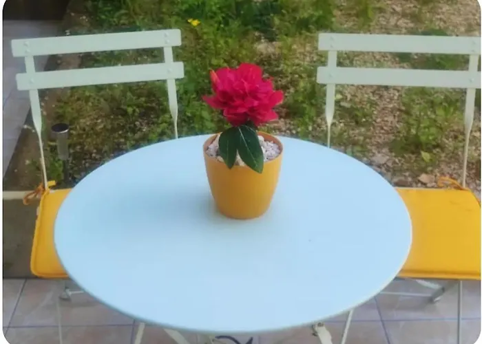 Appartement Le Cocoon Doré *