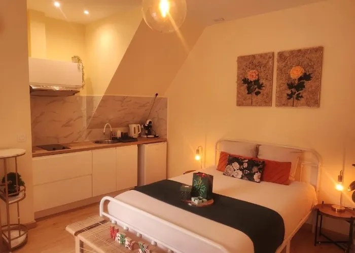 Le Cocoon Dore * 普瓦捷