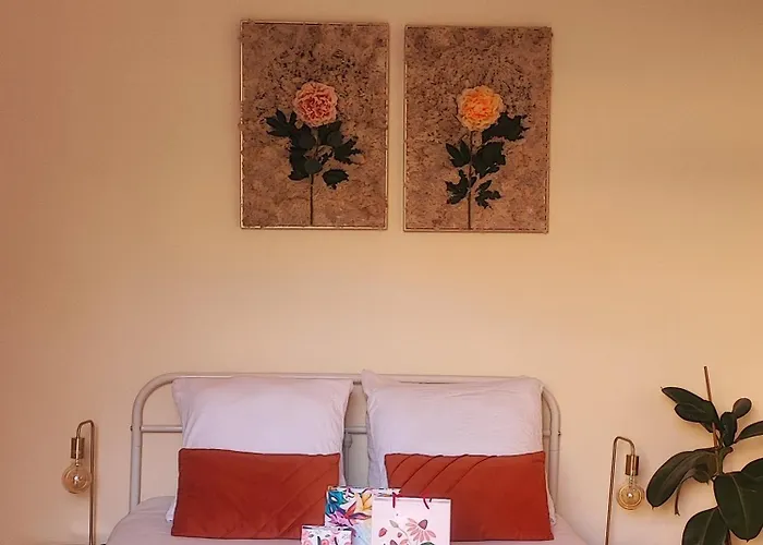 Le Cocoon Doré Poitiers